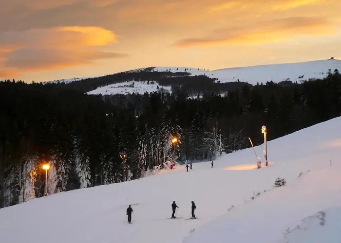 Apartment Ma Montagne Chic 3 *